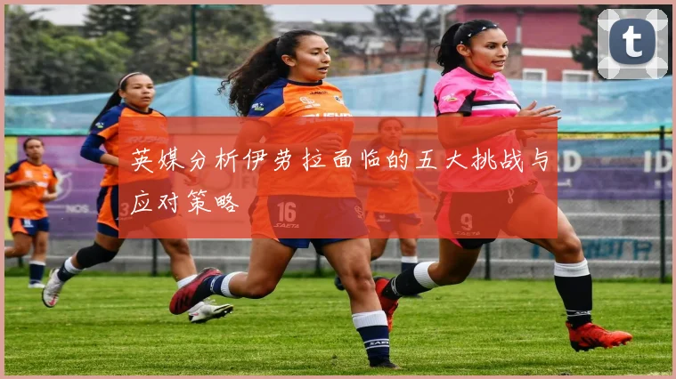 英媒分析伊劳拉面临的五大挑战与应对策略