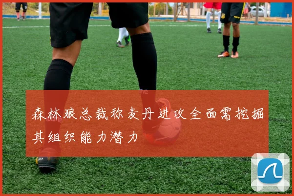森林狼总裁称麦丹进攻全面需挖掘其组织能力潜力